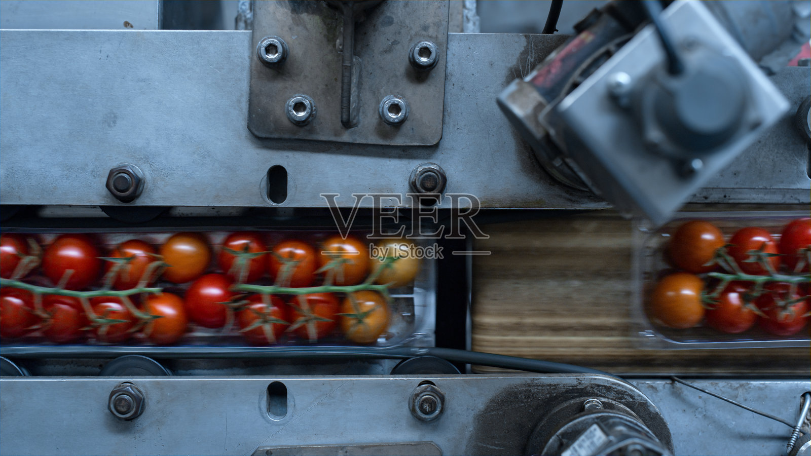 番茄塑料包装移动由自动化工厂现代化机器关闭照片摄影图片