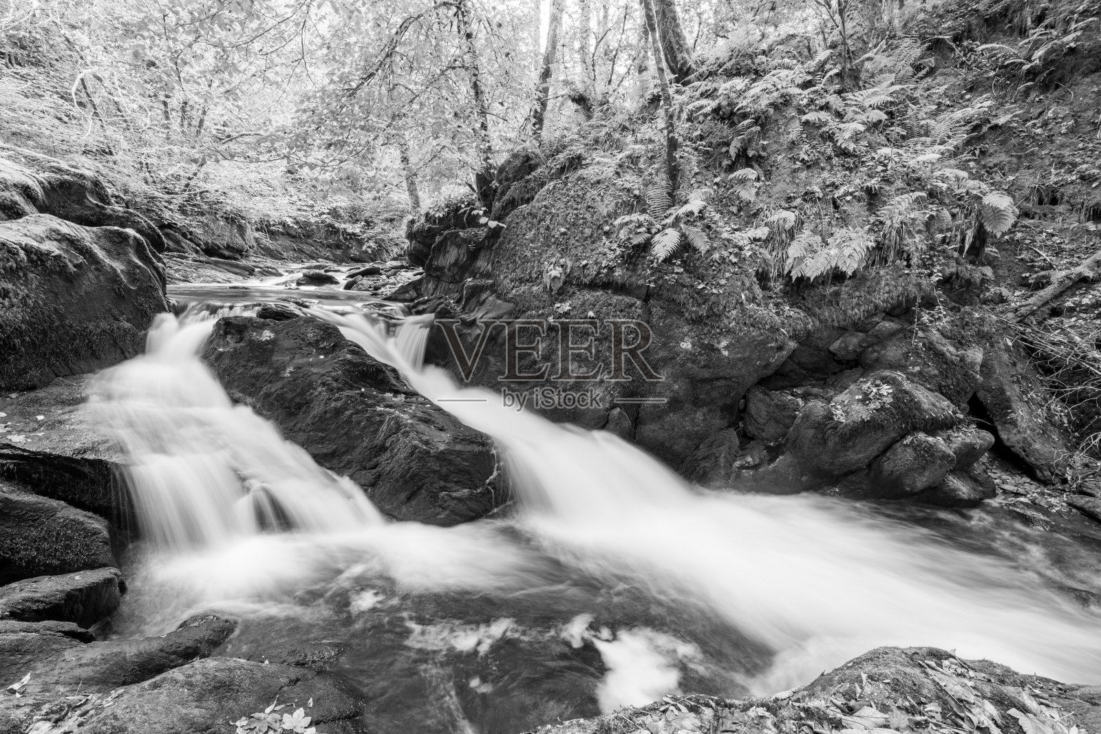 在埃克斯穆尔国家公园照片摄影图片