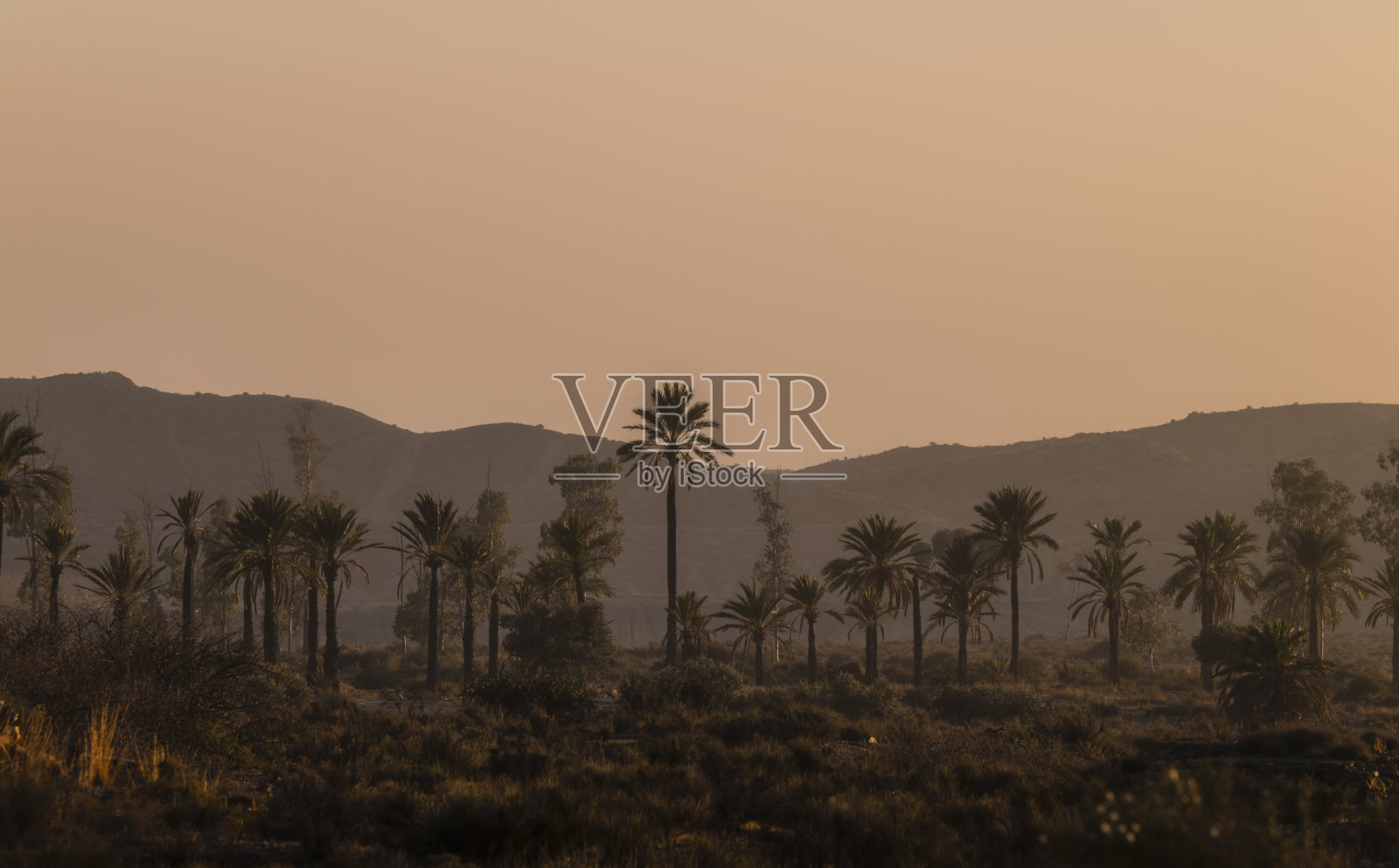 日落时分,西班牙阿尔梅里亚的塔伯纳斯沙漠,棕榈树环绕照片摄影图片