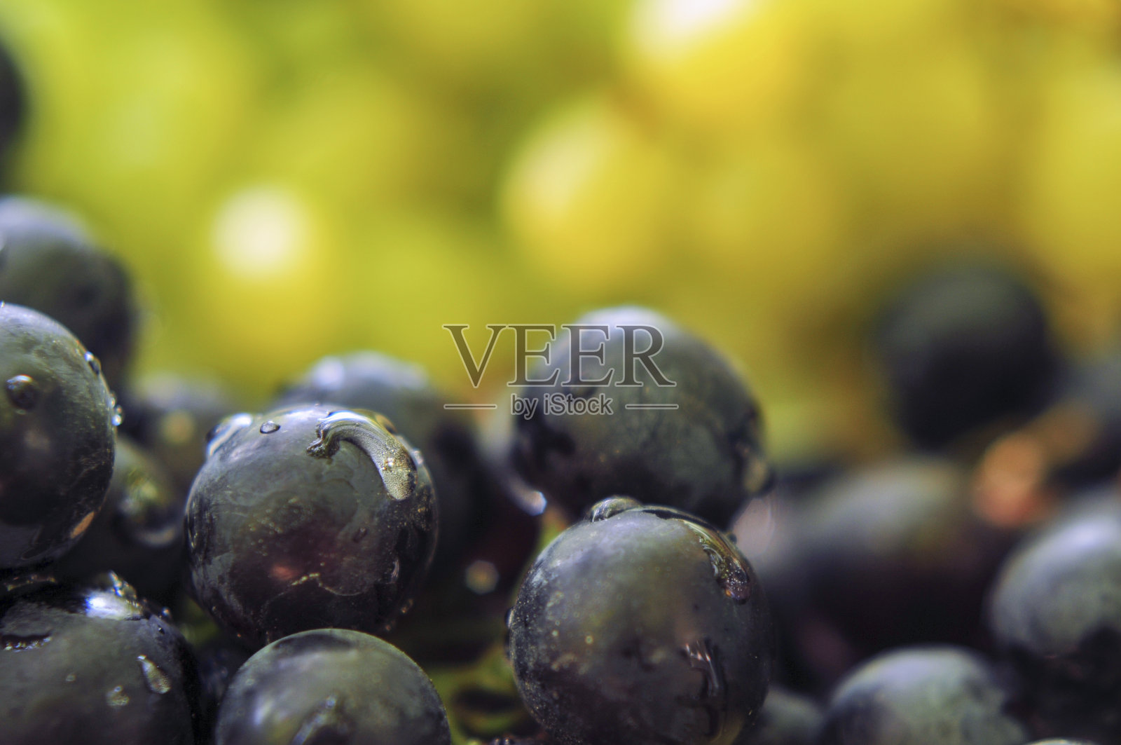 红、白葡萄照片摄影图片