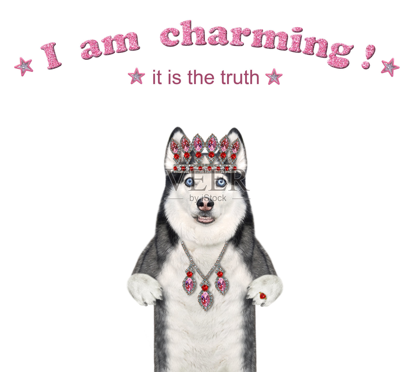 狗哈士奇戴着王冠和垂饰照片摄影图片