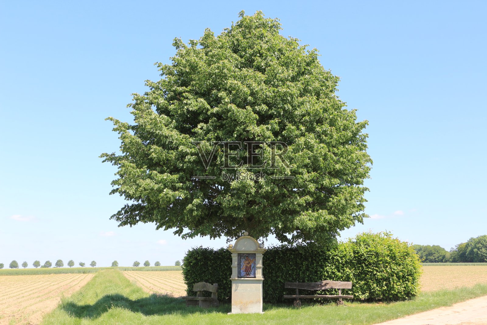 索尔兰阳光灿烂的夏日照片摄影图片