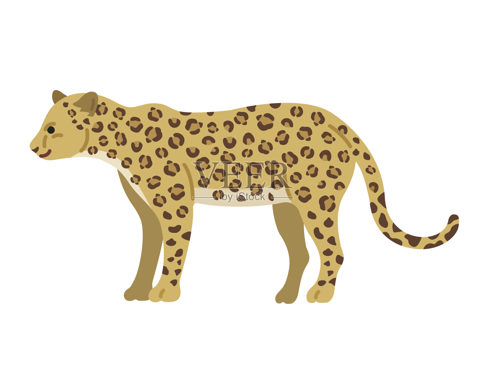 从侧面看一只豹子的插图。插画图片素材
