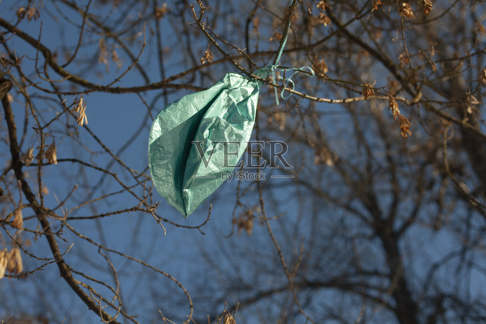 气球挂在树枝上。放了气的球挂在树上。照片摄影图片