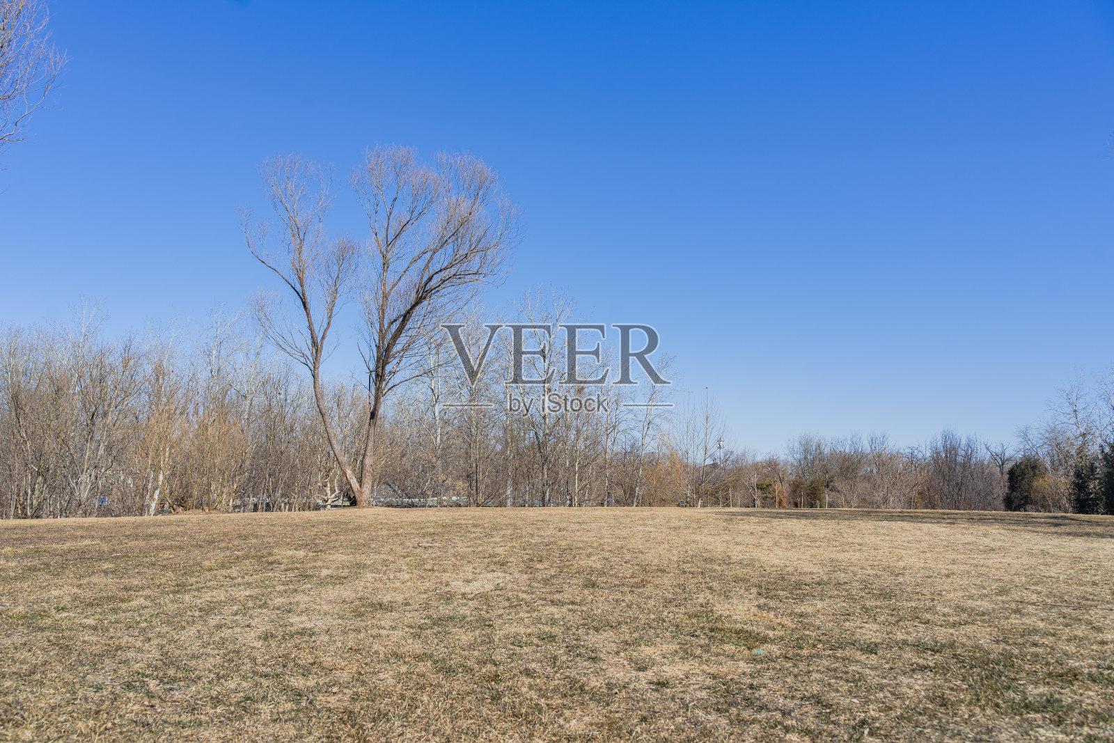 广场上干燥的草坪小径照片摄影图片