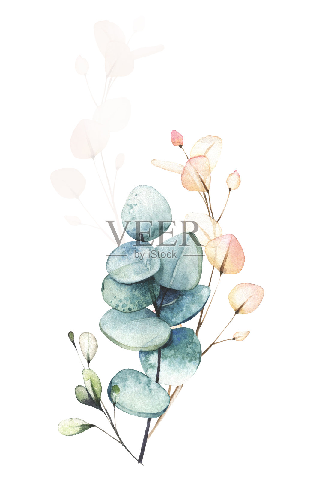 水彩画花束。桉树枝干排列,通风的叶子,粉红色的元素。插画图片素材