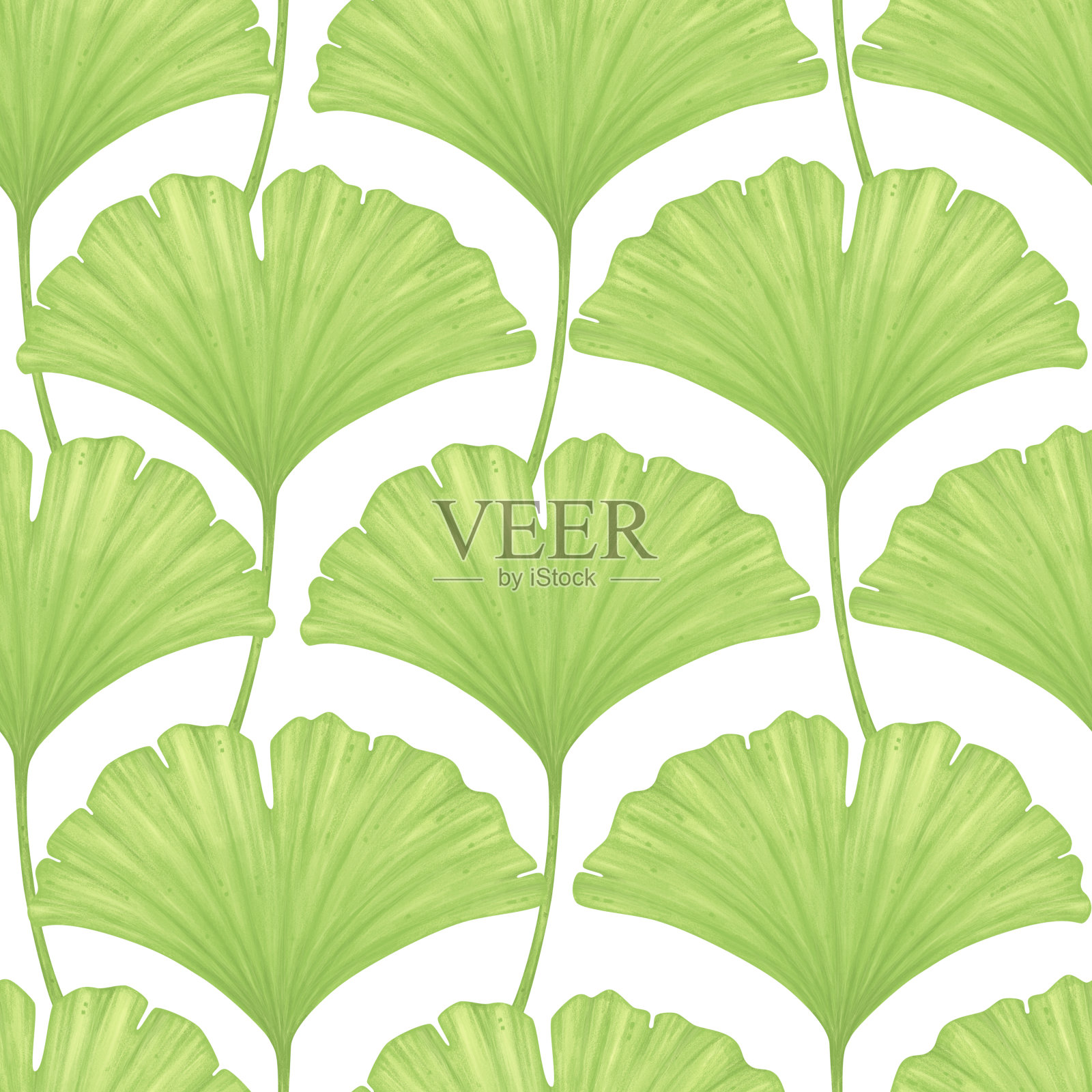 银杏叶。自然背景。无缝模式插画图片素材