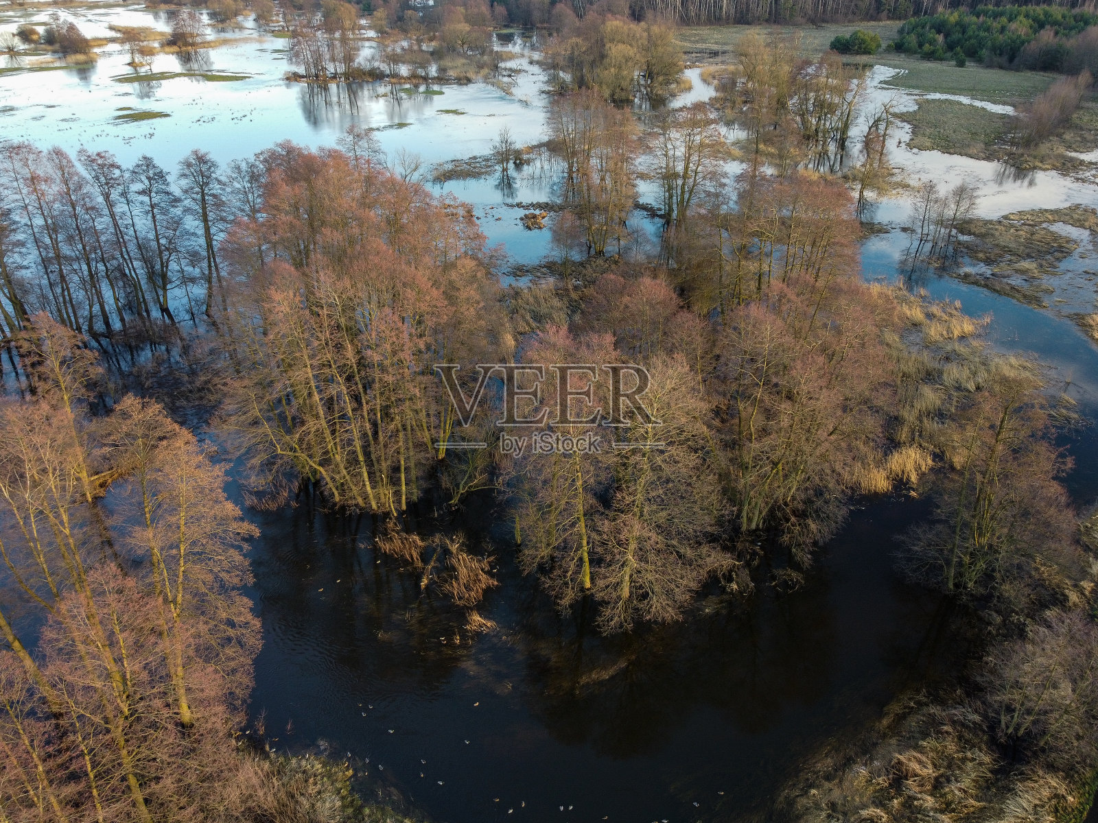 春天的洪水和洪水会使一条小河解冻。照片摄影图片