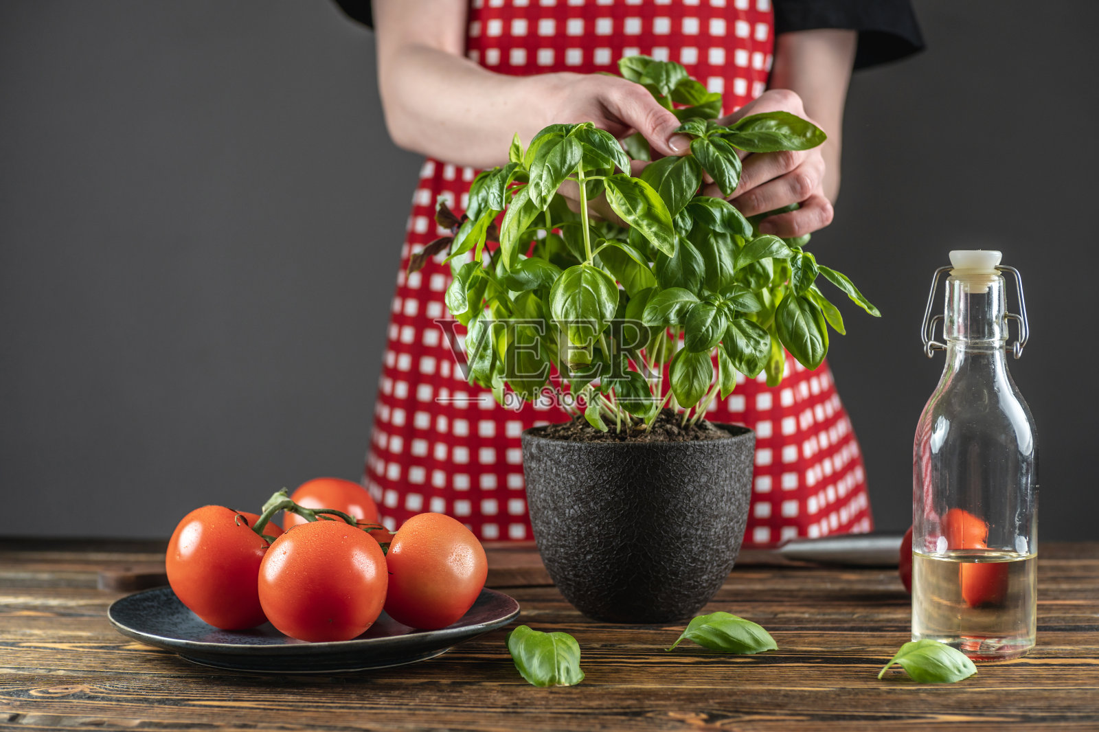穿着红色围裙的妇女正在采摘生长在盆里的新鲜罗勒叶。用健康的自制蔬菜做沙拉和其他菜肴的概念照片摄影图片