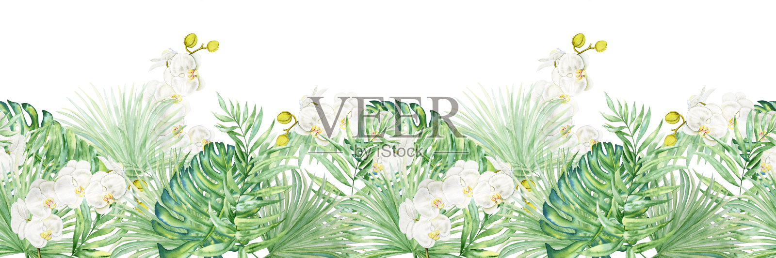 热带树叶和兰花的水彩插图。手绘的热带背景。无缝边框卡片和婚礼设计。壁纸和邀请。丛林植物模式。横幅插画图片素材