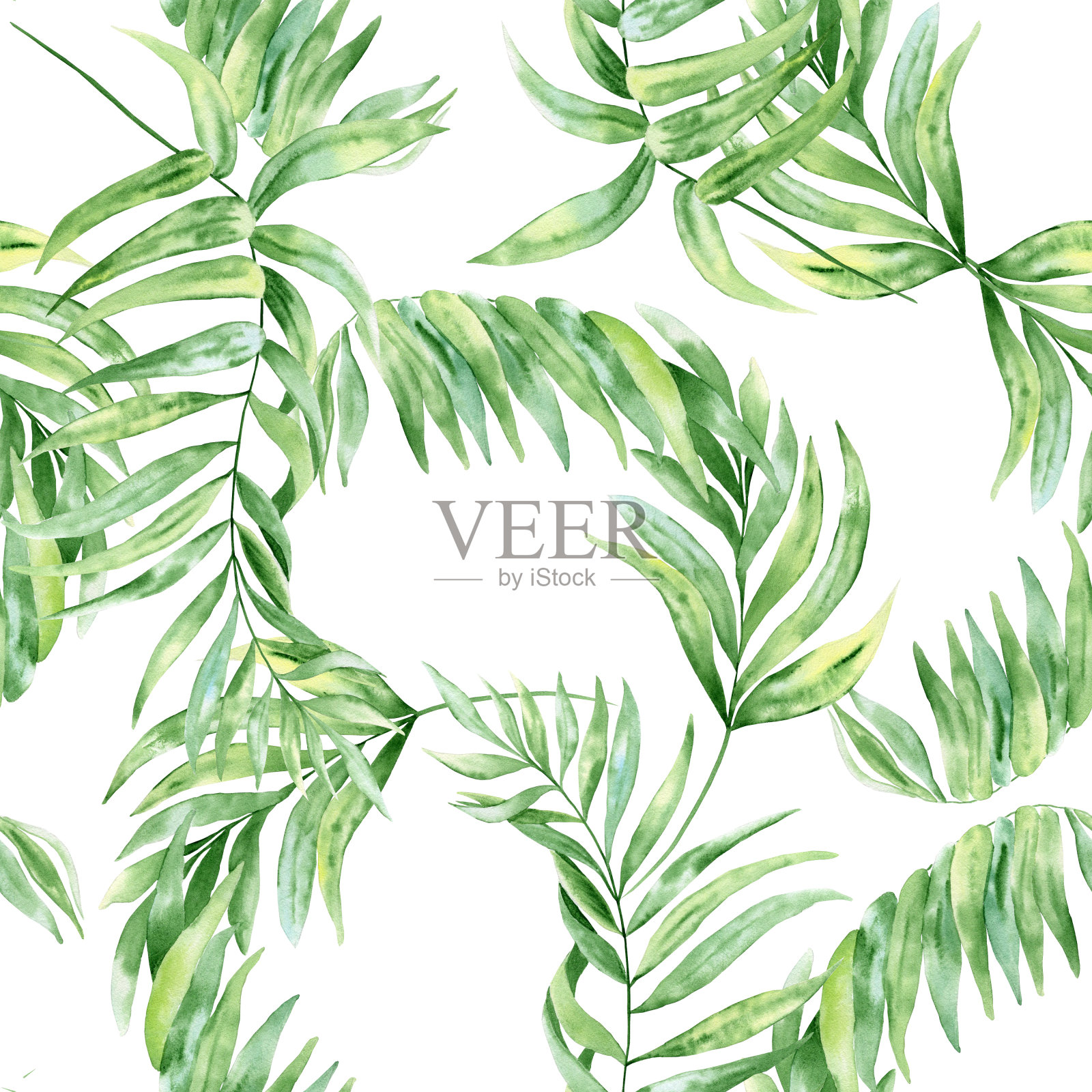 金盏花棕榈叶水彩无缝图案。在孤立的背景上的热带绿色叶子的植物学插图。异国情调的背景。夏季面料。包装纸。壁纸插画图片素材