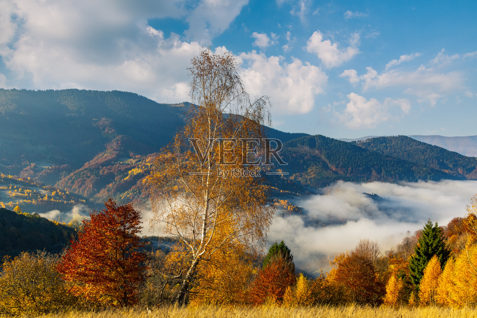 巨大的山谷被山林环绕在高原上照片摄影图片