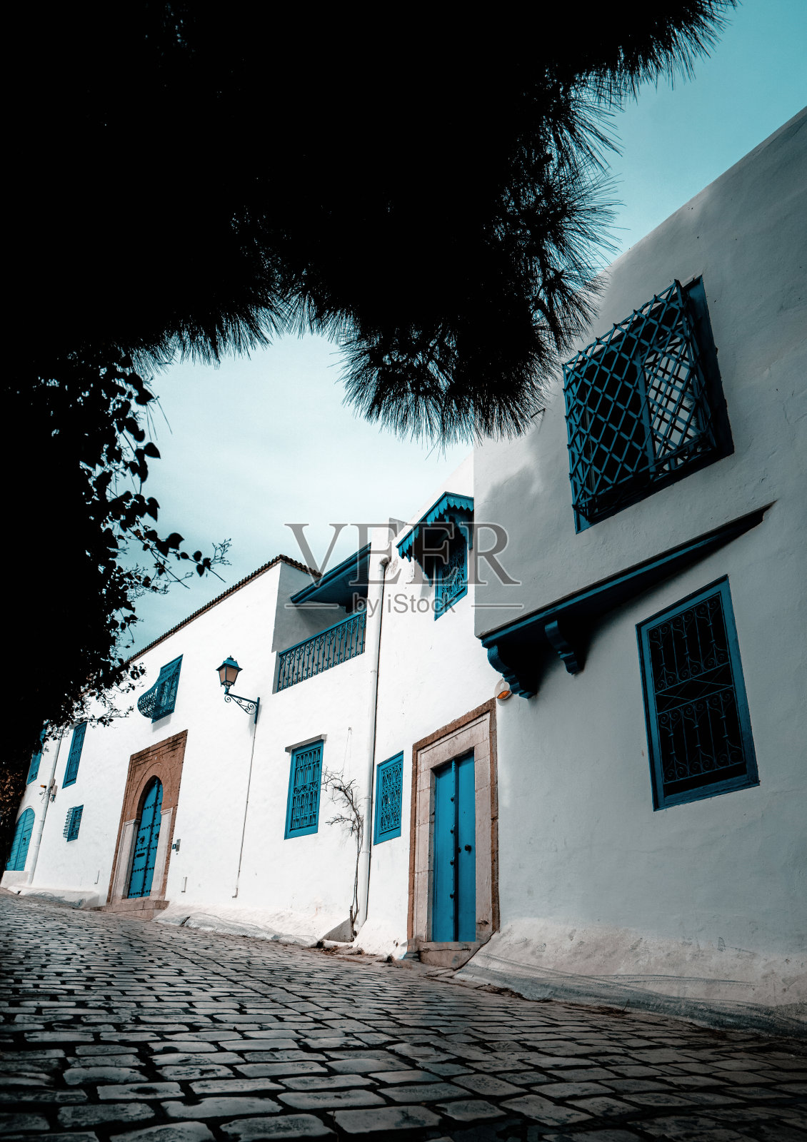 突尼斯的西迪布赛义德古城照片摄影图片