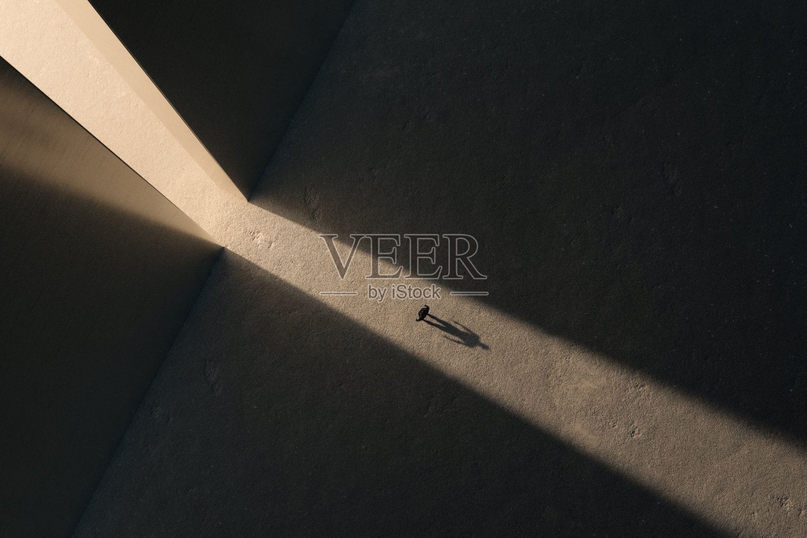 一个科幻人物独自看着光之门。抽象的科幻概念。三维渲染照片摄影图片