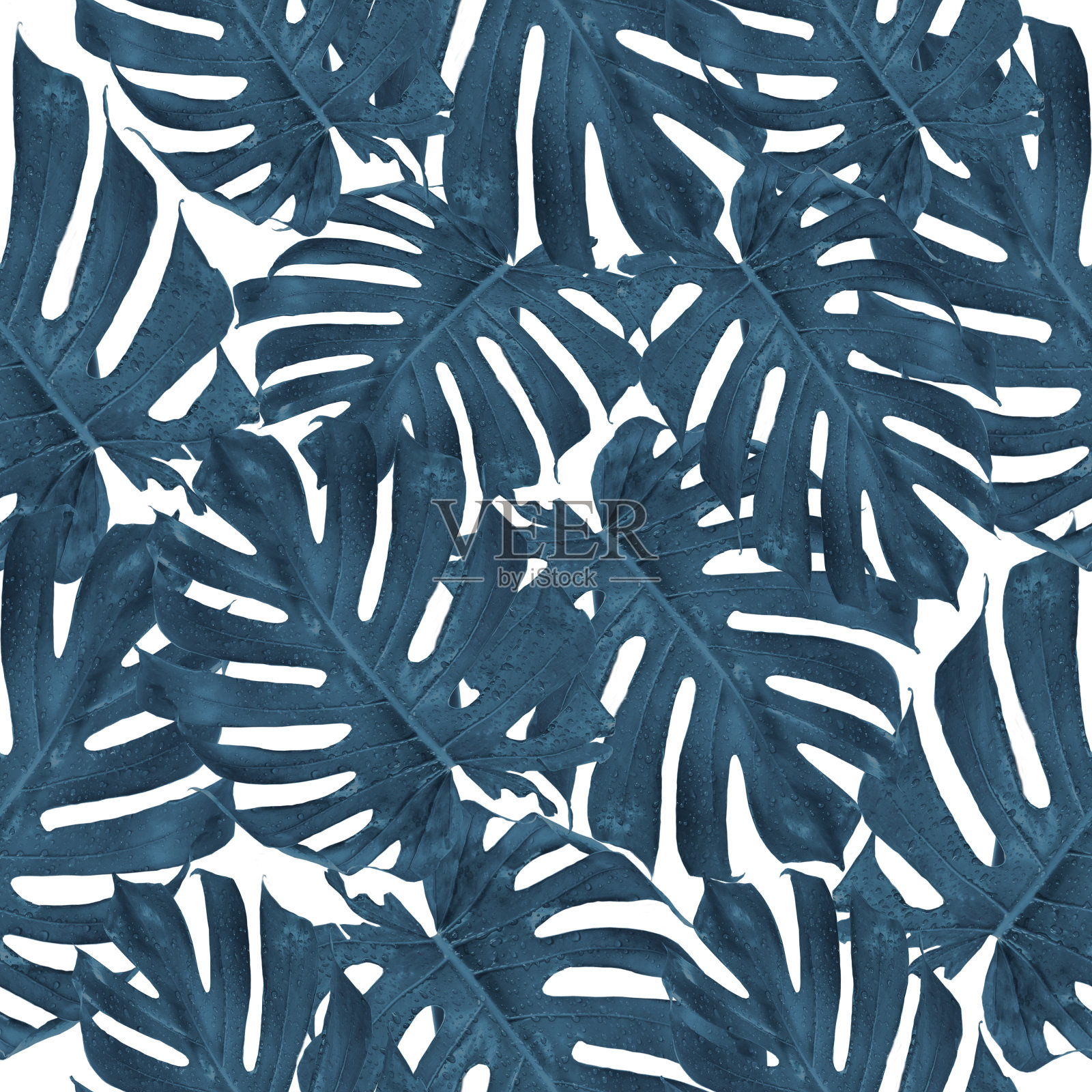 无缝图案的奇异的蓝色棕榈怪物的叶子插画图片素材