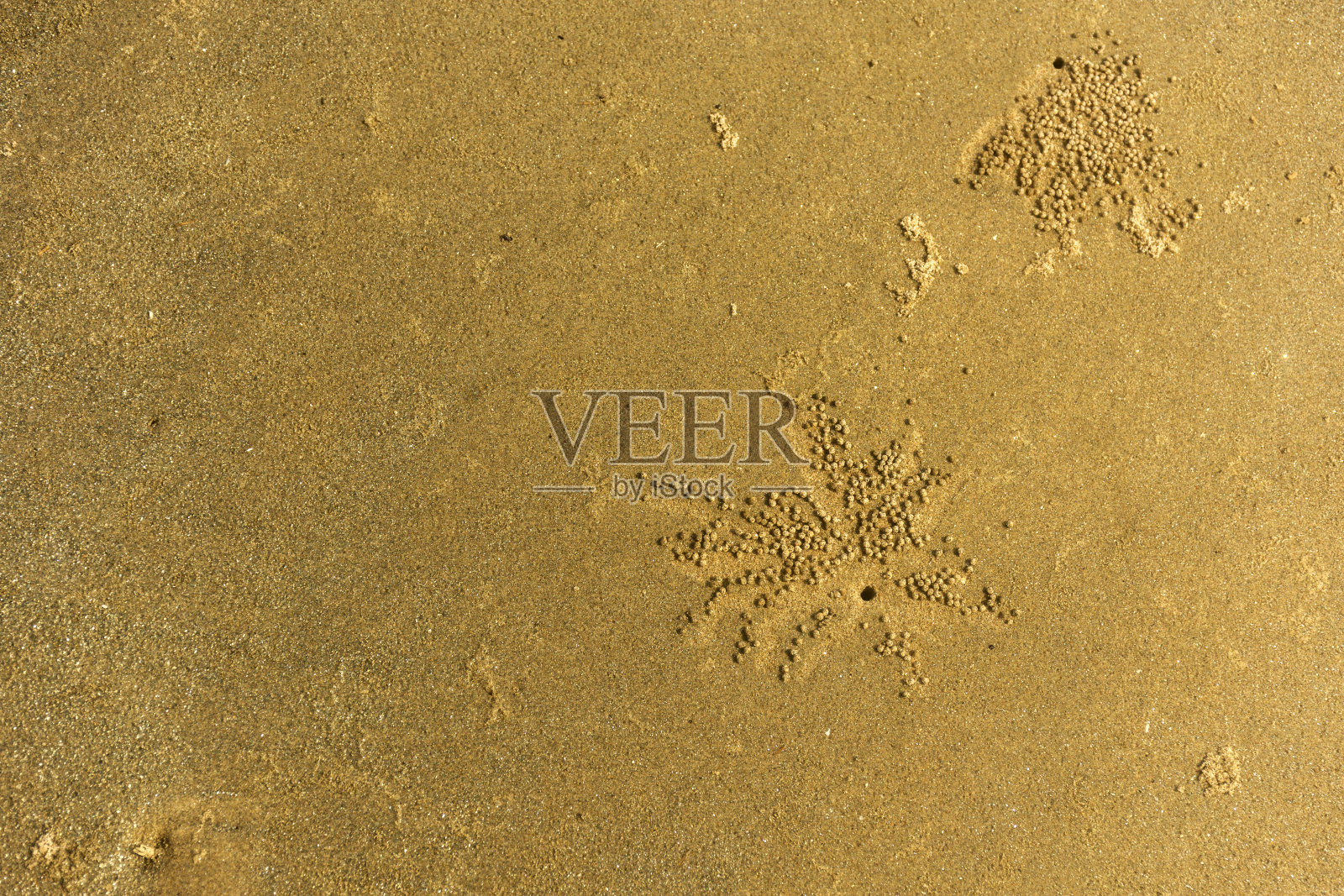 沙滩上的沙子纹理设计为背景。海滩上海沙的波浪图案。照片摄影图片