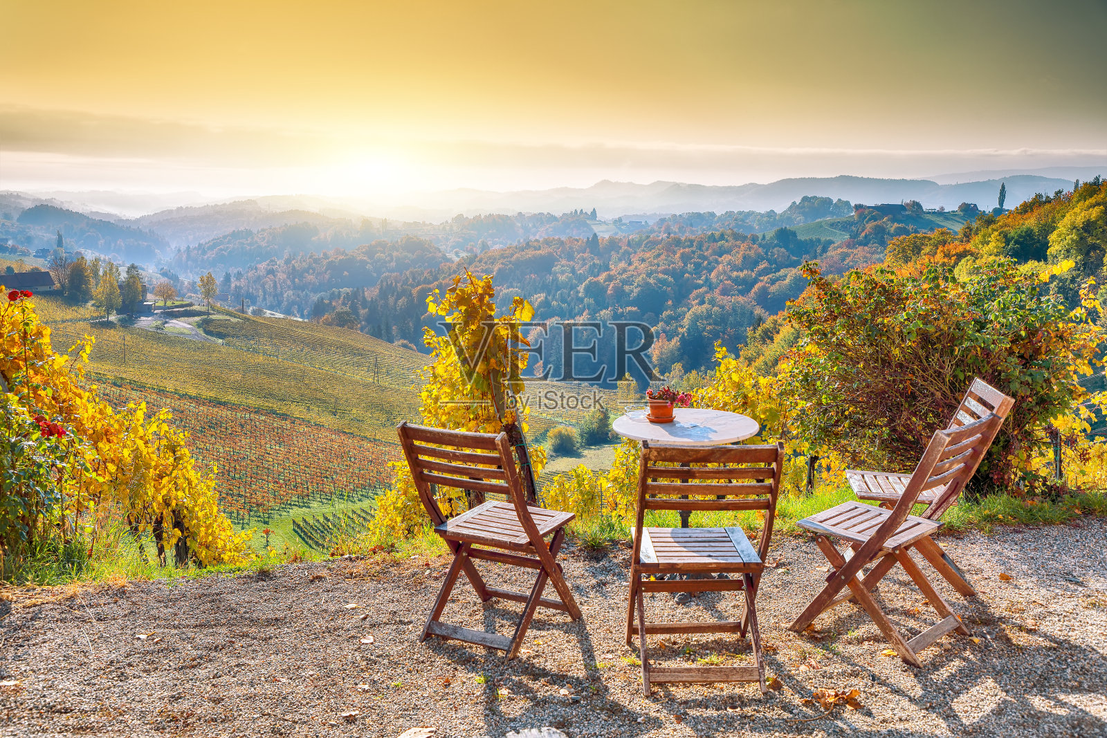 Gamlitz附近南斯蒂里亚令人惊叹的葡萄园景观。照片摄影图片