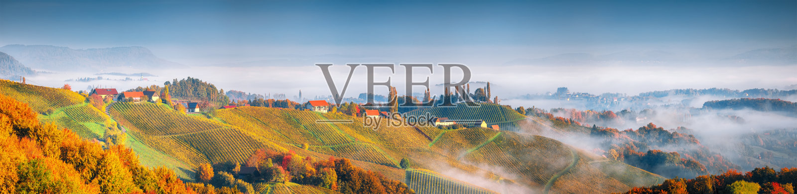 Gamlitz附近南斯蒂里亚令人惊叹的葡萄园景观。照片摄影图片