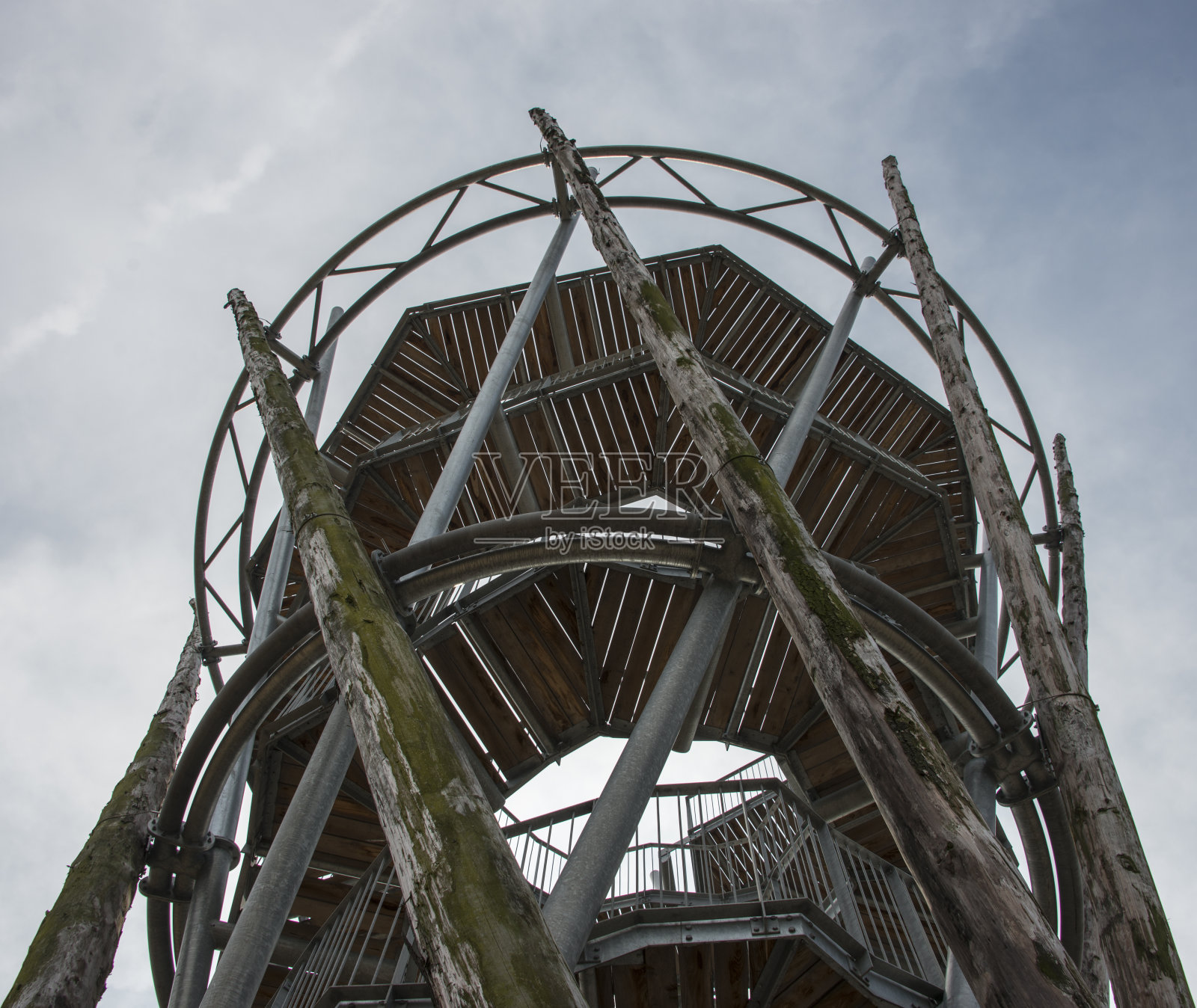 荷兰自然观测站照片摄影图片