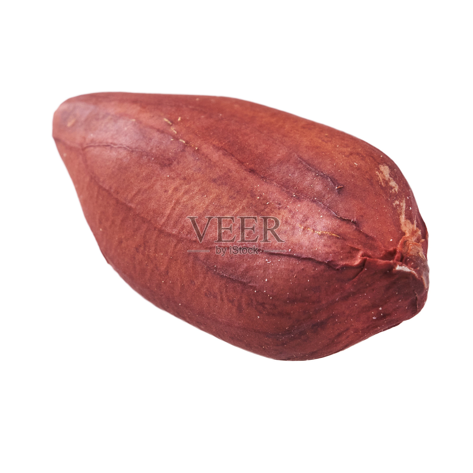 白色背景上孤立的一颗花生照片摄影图片