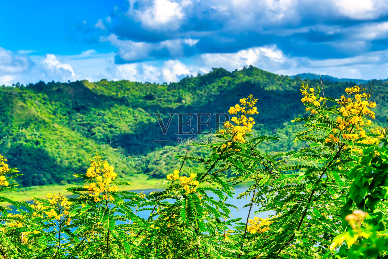埃斯坎布雷山脉照片摄影图片