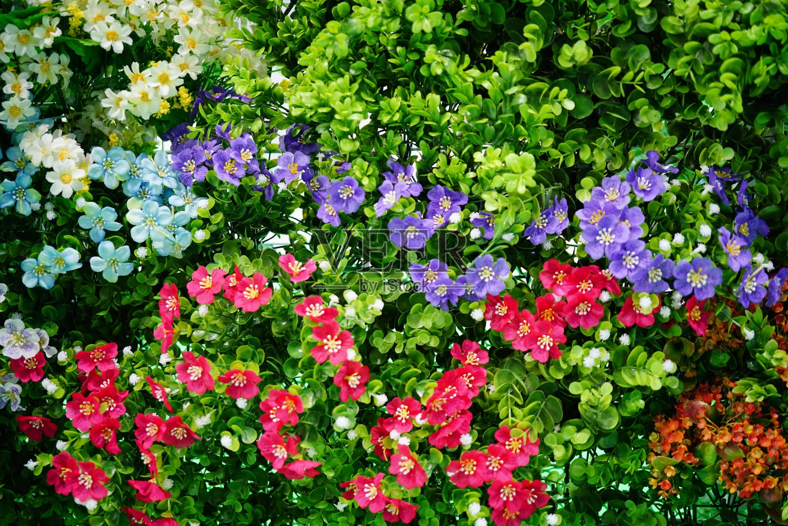 植物墙上的人造花照片摄影图片