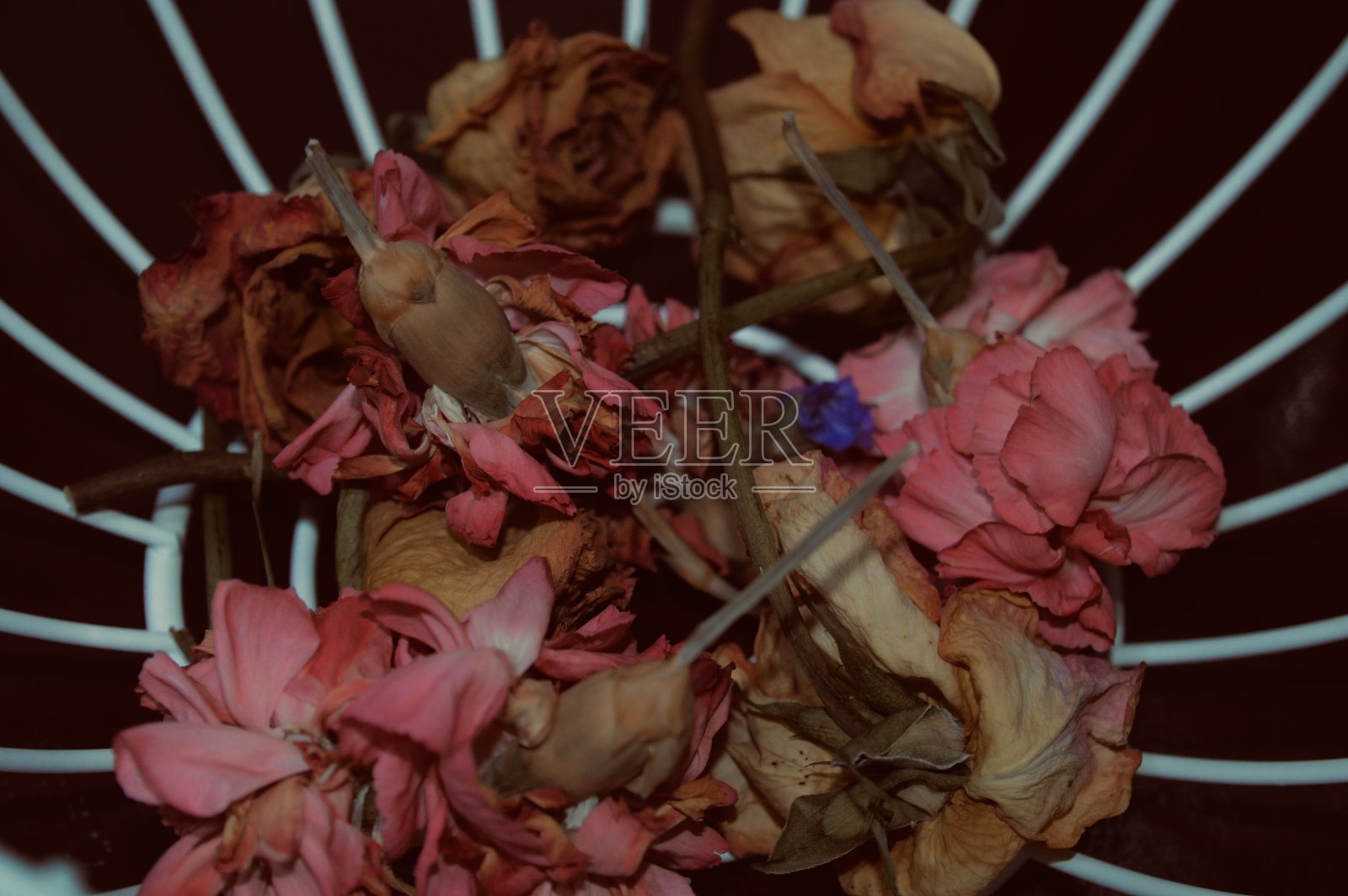 复古花朵照片摄影图片