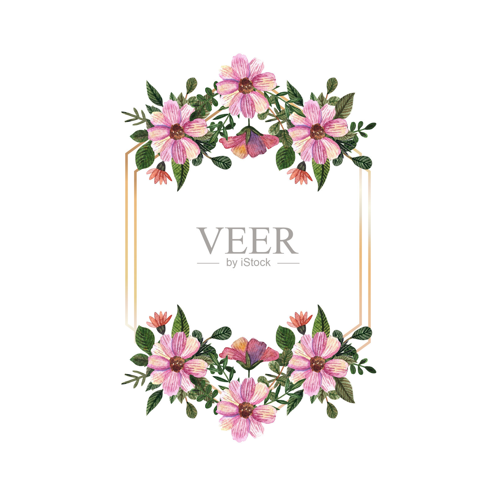 金色框架与水彩压制和干花在白色背景插画图片素材