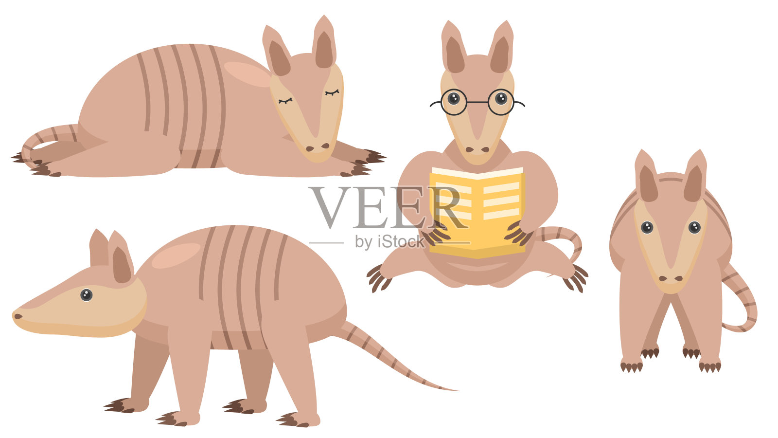 集合抽象集合平面卡通不同动物蜂蜜犰狳站,睡觉,阅读一本书矢量设计风格元素动物野生动物插画图片素材