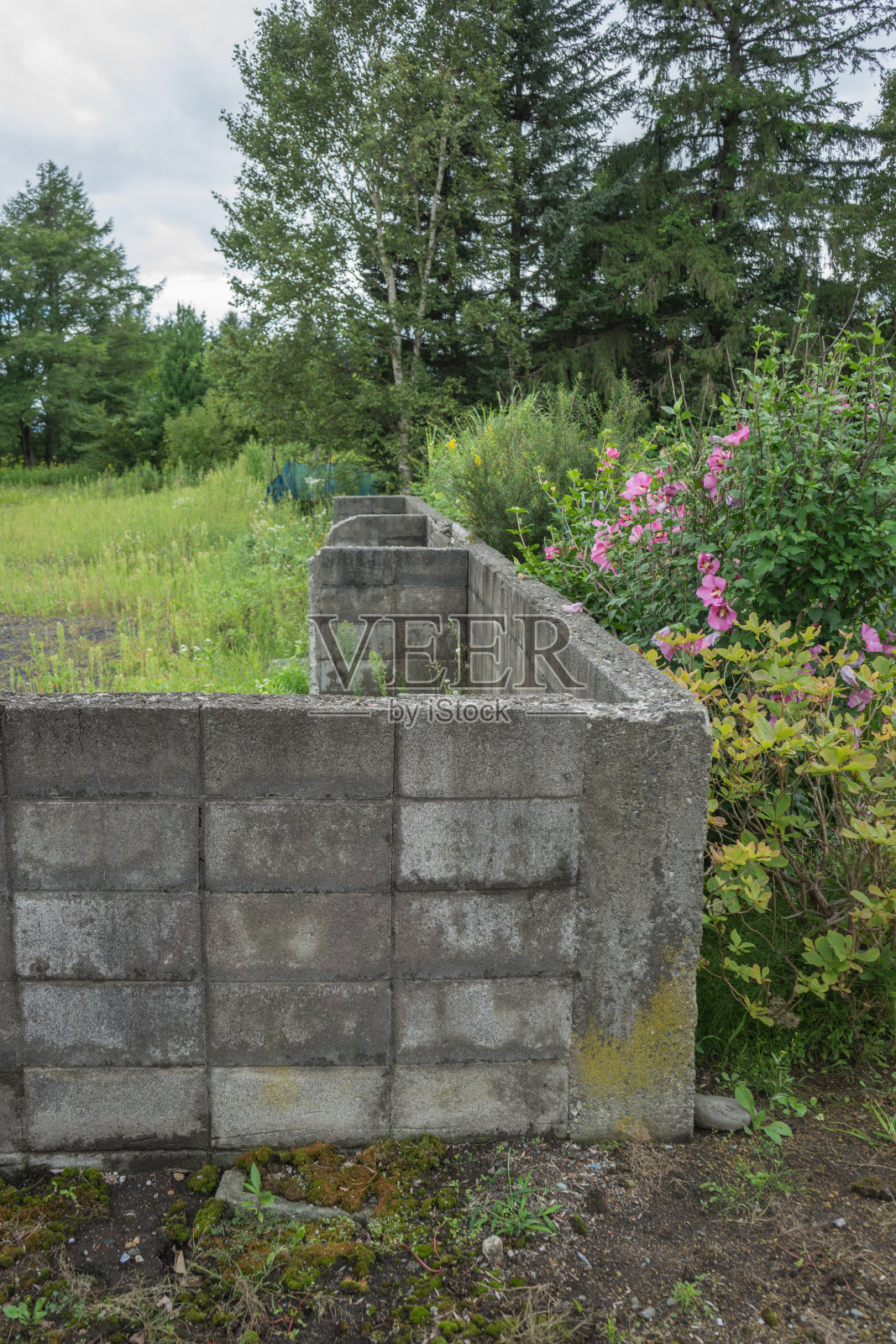 留下的那堵墙照片摄影图片
