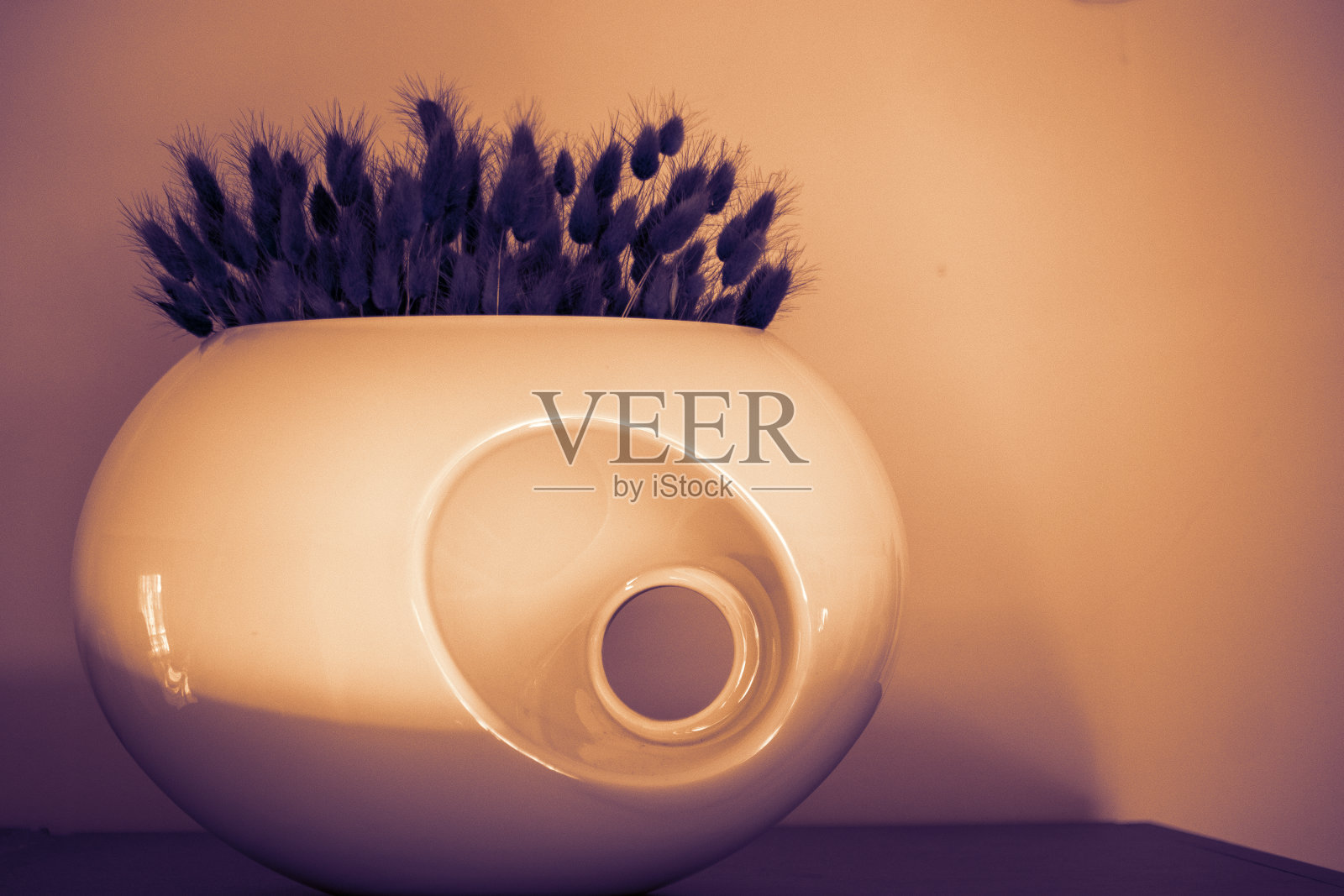 干花,紫色,装在漂亮的白色花瓶里。照片摄影图片