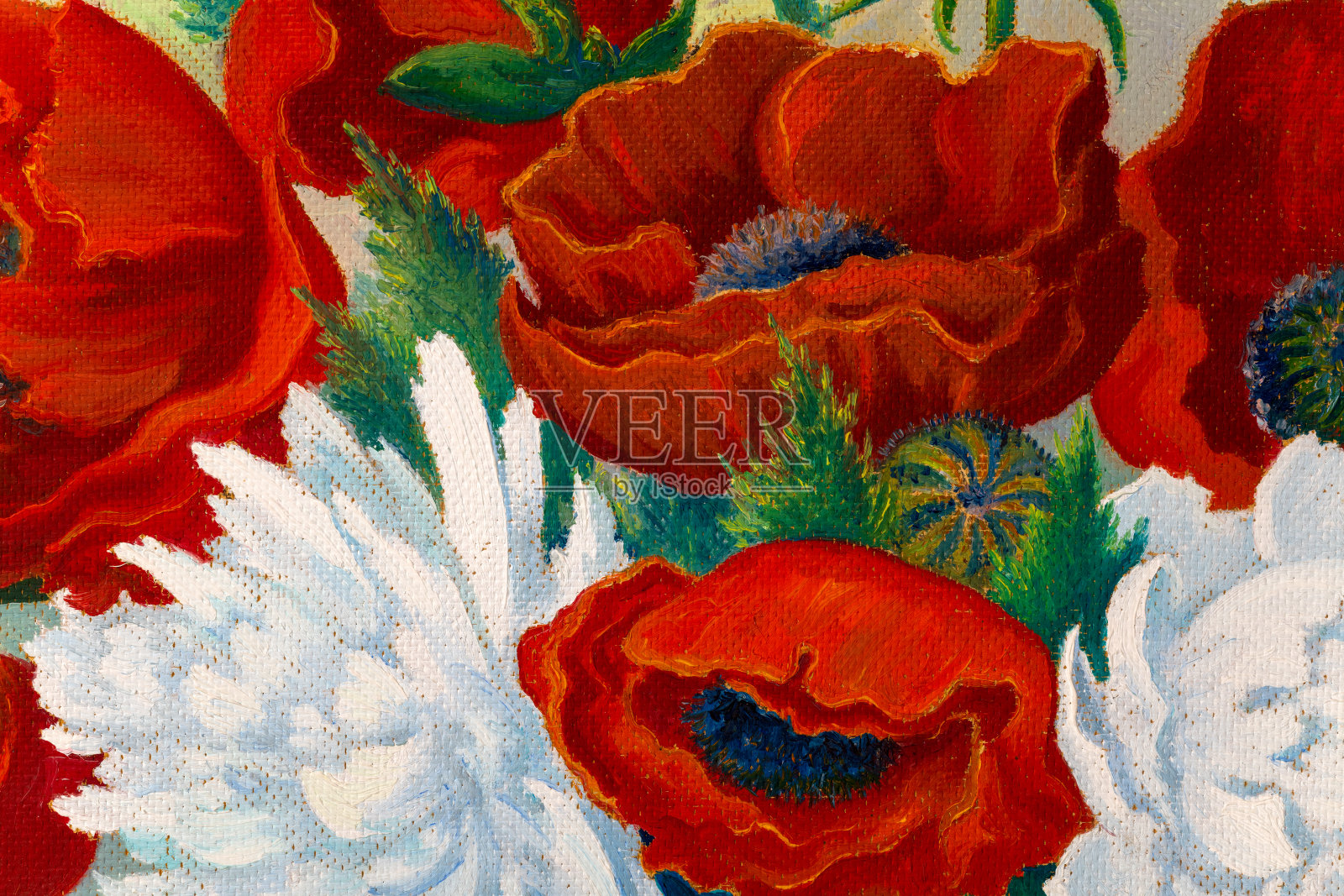 近景东方罂粟和牡丹花油画插画图片素材