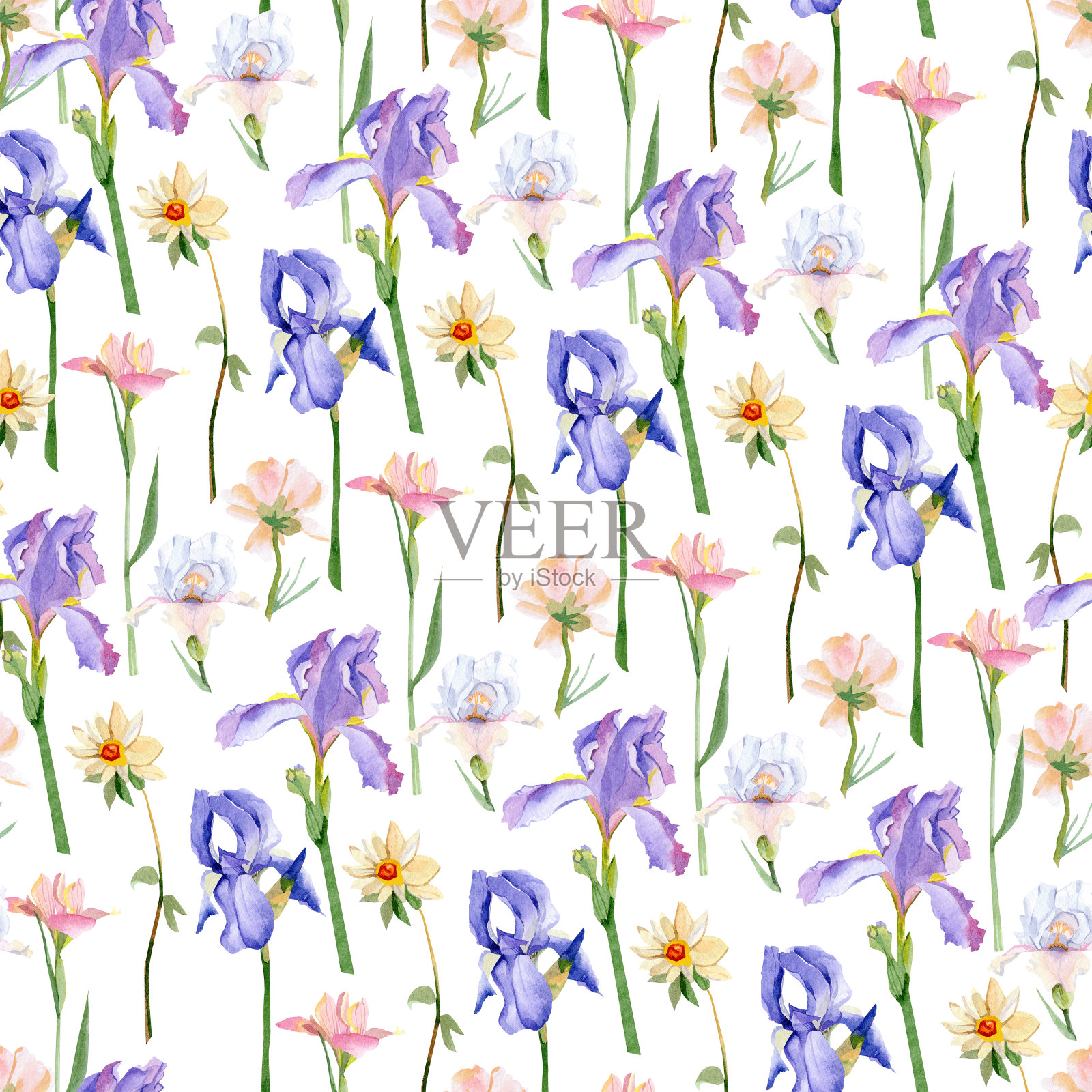 春夏无缝花的图案用手绘的紫罗兰紫鸢尾花。股票插图。自然的艺术作品。插画图片素材