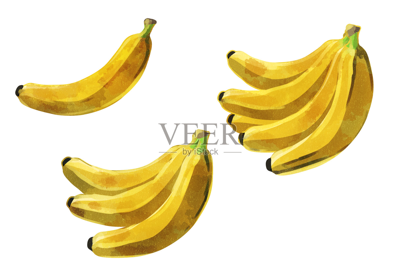 香蕉水彩风格插画图片素材