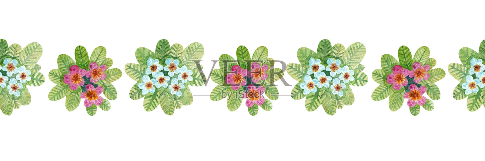 手绘水彩花卉图案。蓝色和粉红色的樱草花。插画图片素材