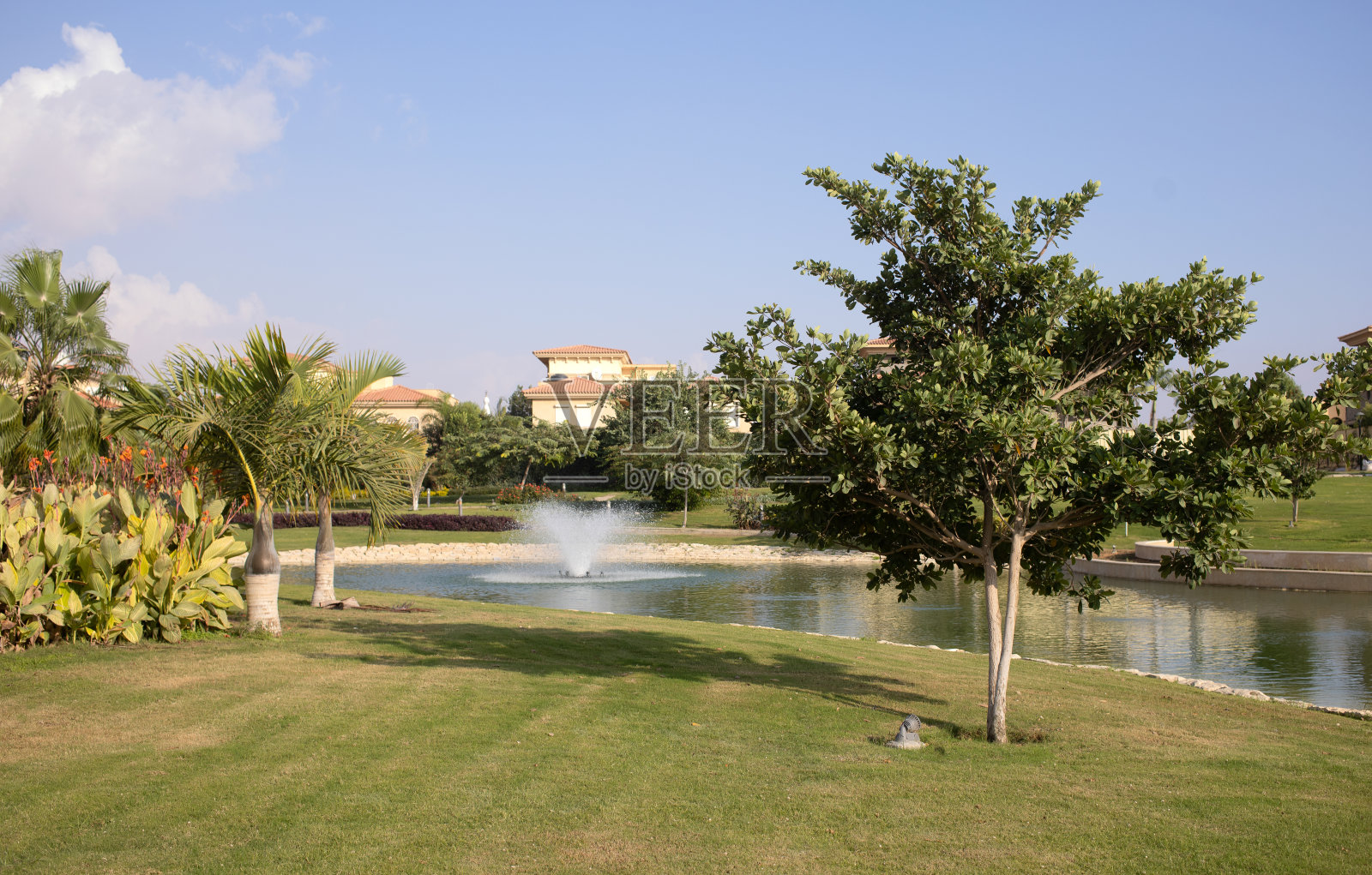 埃及新开罗,2021年11月21日照片摄影图片