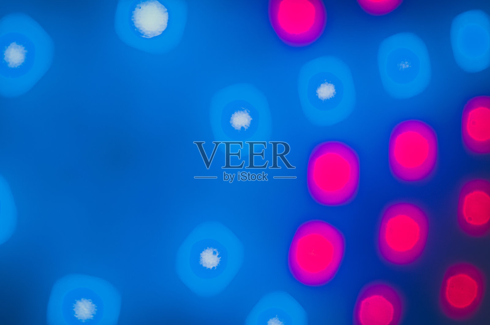 照明室内植物的模糊植物灯。抽象的形象照片摄影图片