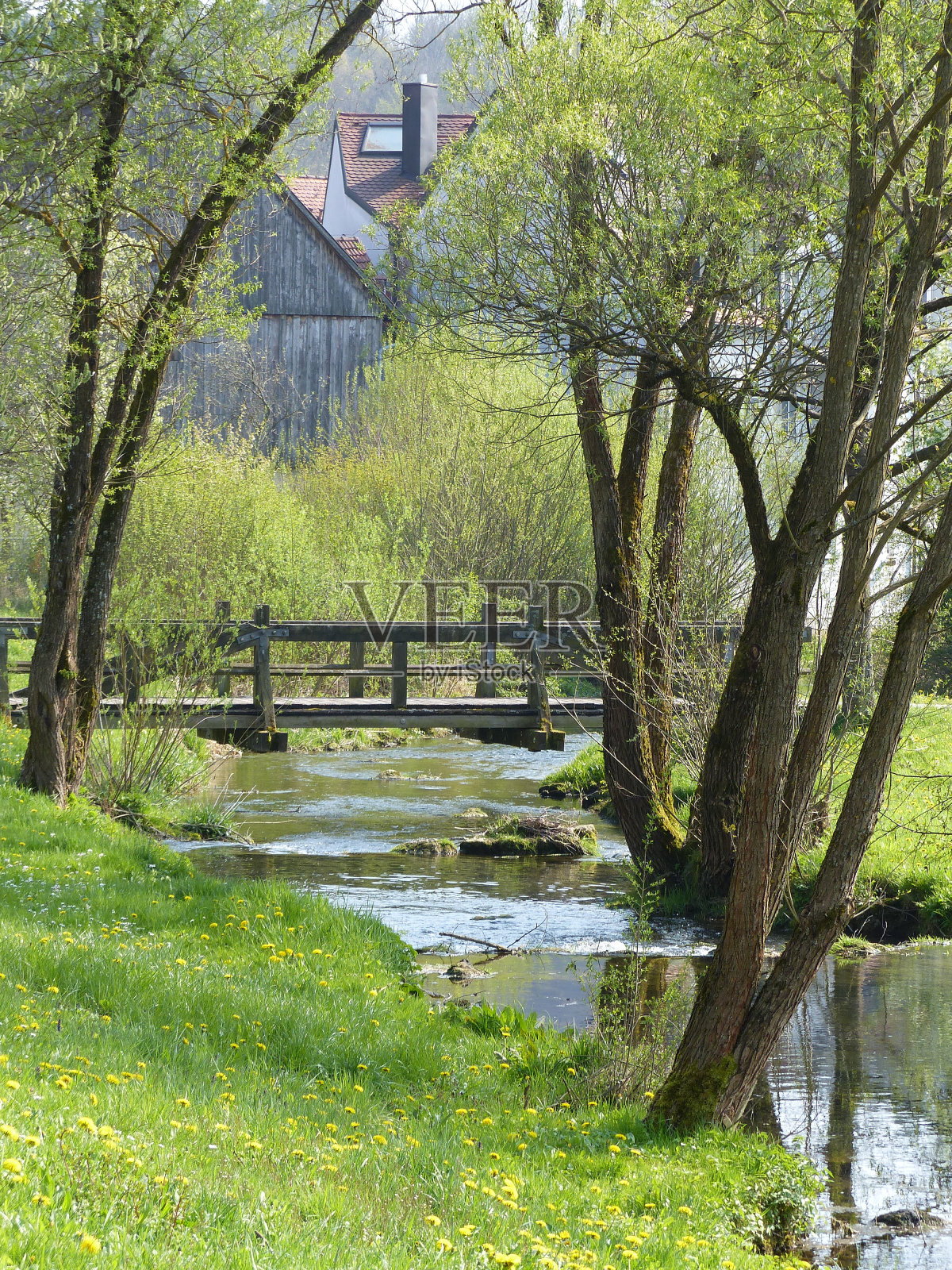 春天照片摄影图片