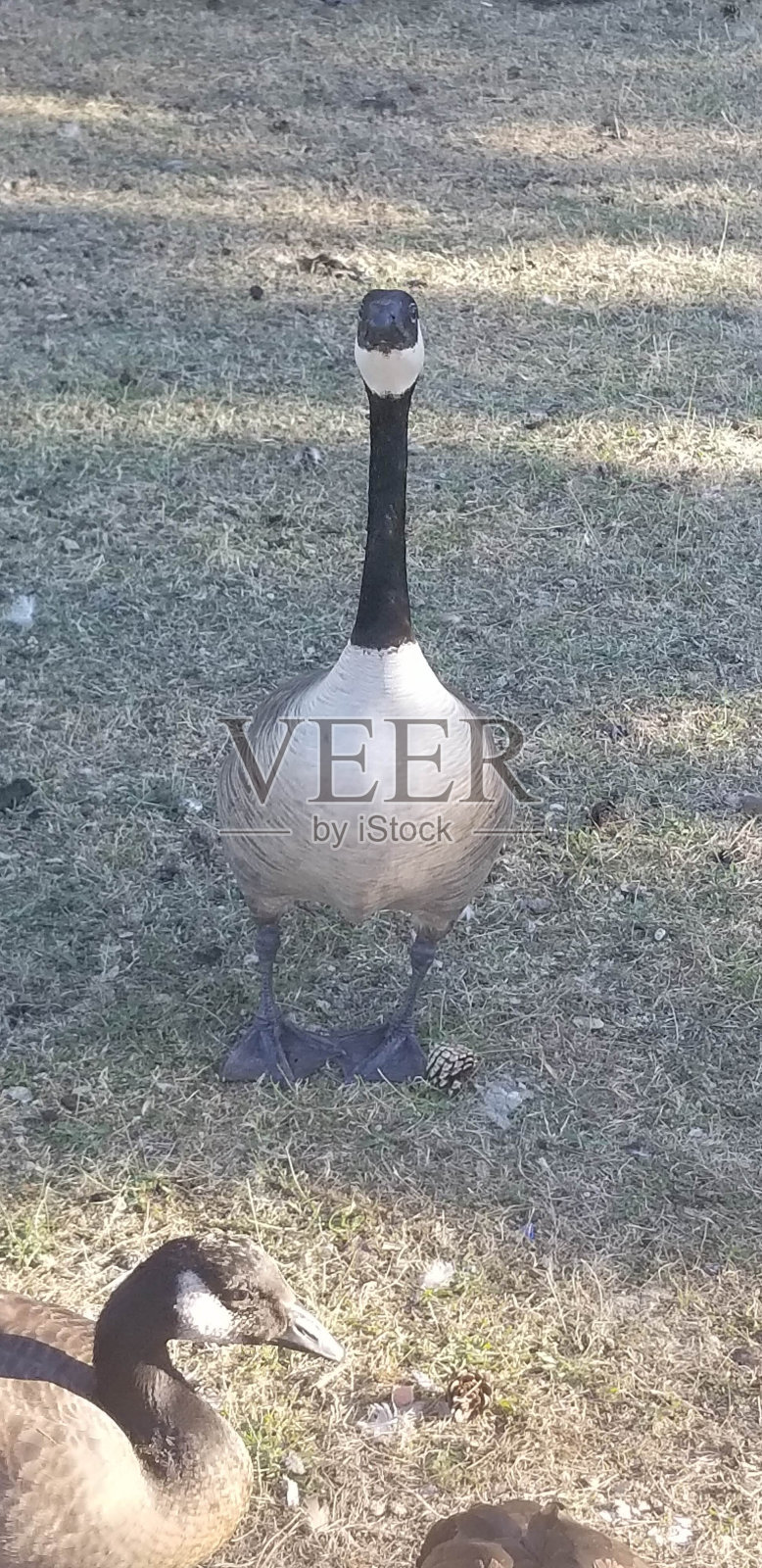 天要塌下来了照片摄影图片