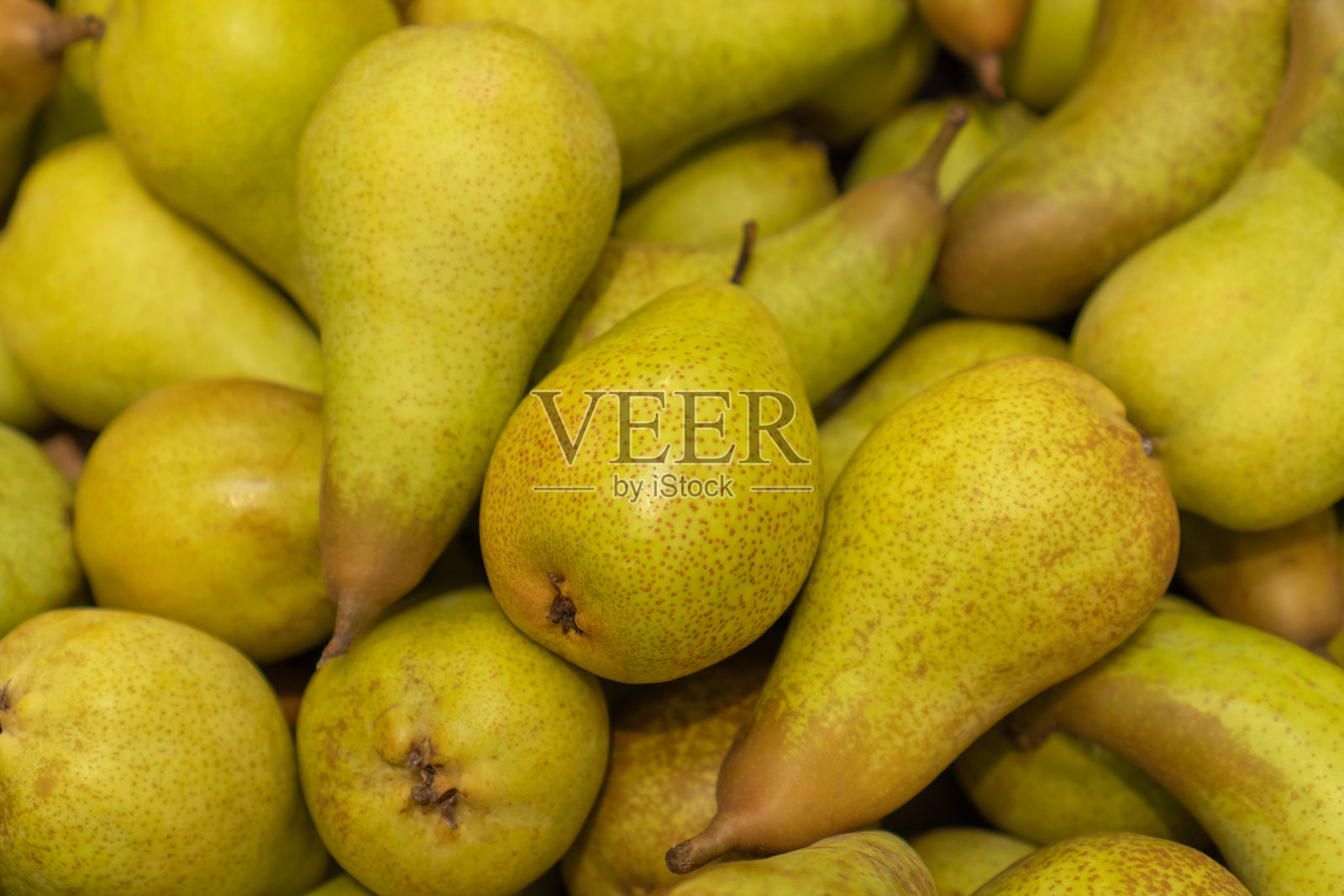 成熟的绿色梨。多汁、新鲜、自然的水果背景。有选择性的重点。照片摄影图片