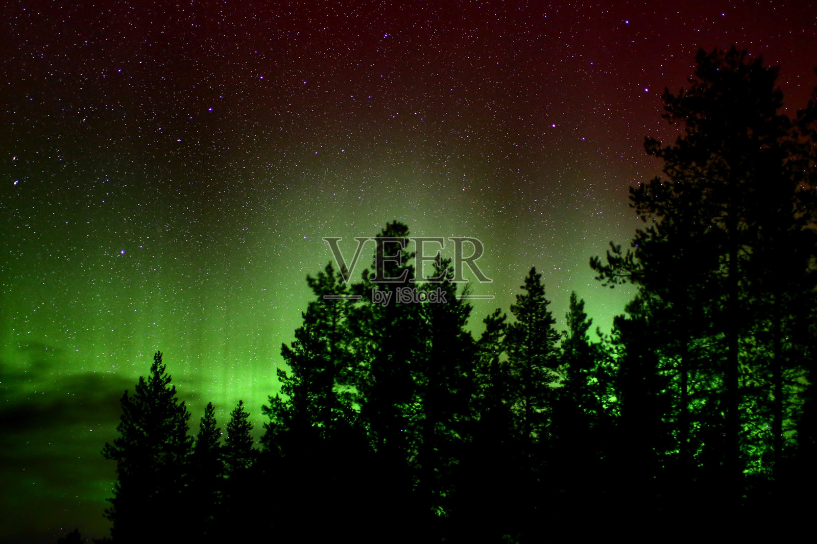 绿色和红色的北极光和树的轮廓后面的云照片摄影图片