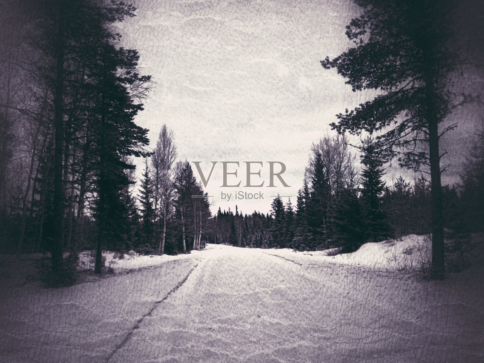 瑞典拉普兰雪路的垃圾照片照片摄影图片