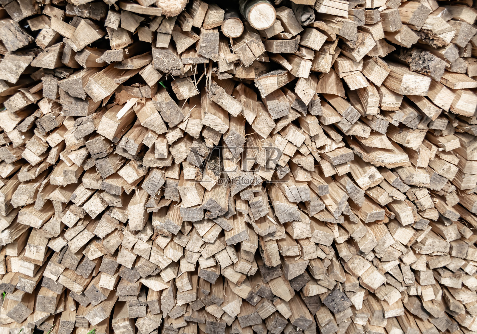 橡木照片摄影图片