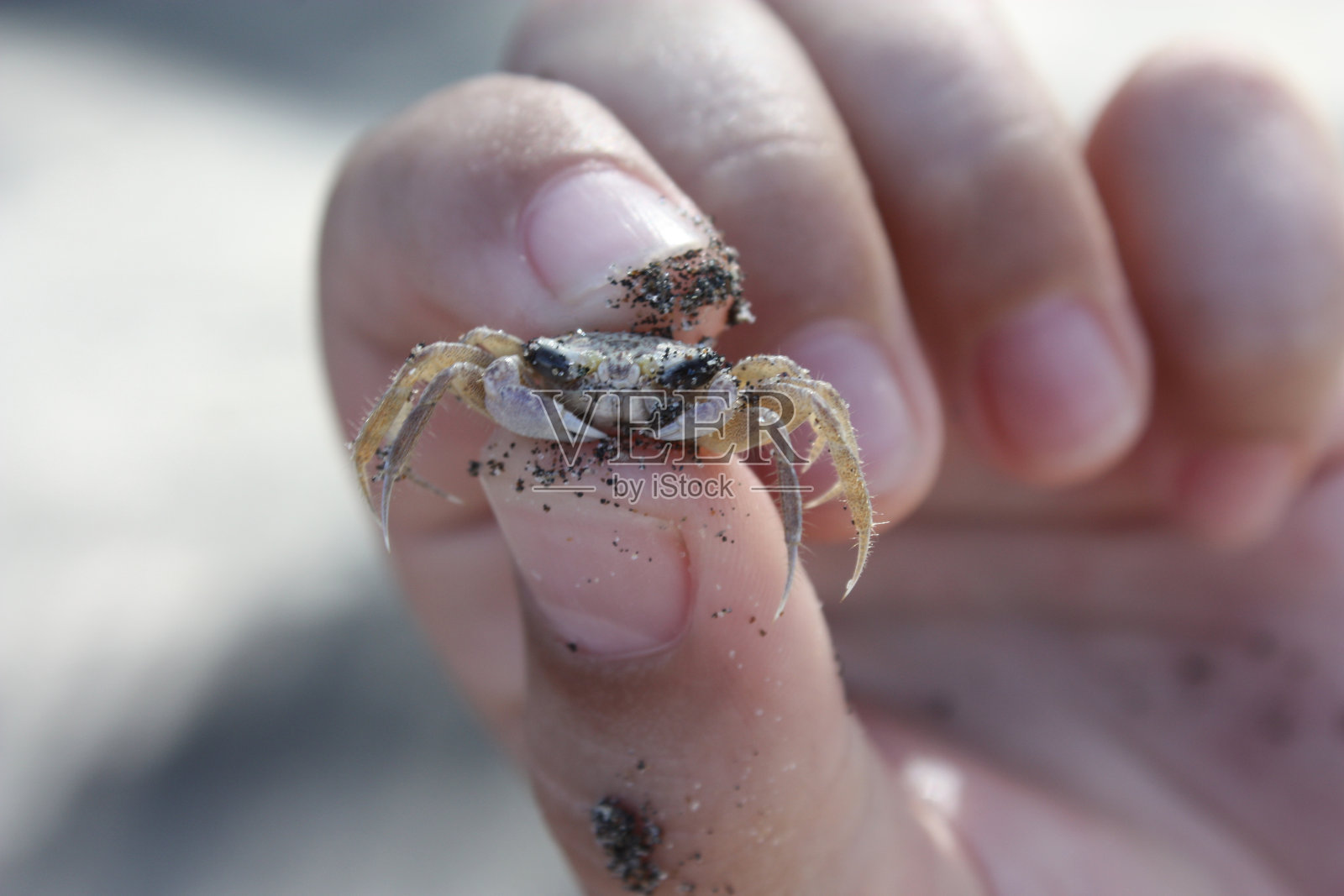 Siri手里拿着沙子照片摄影图片
