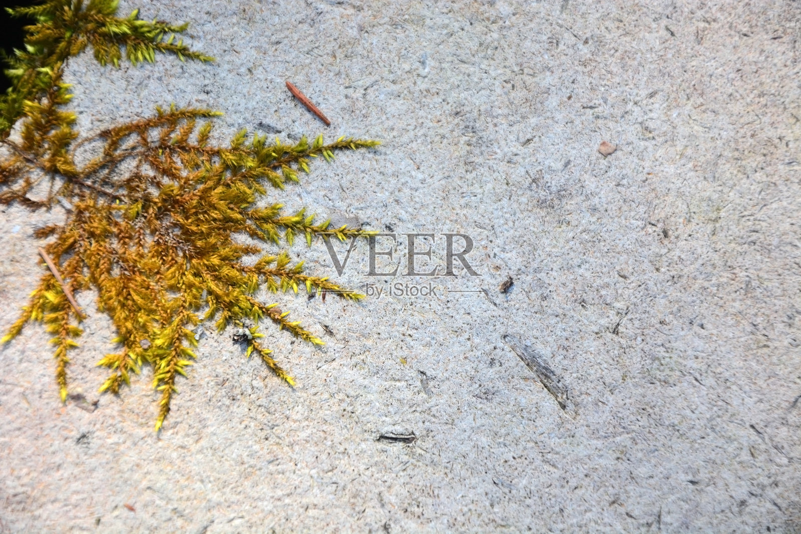 脏旧混凝土的纹理。这幅画可用作背景照片摄影图片