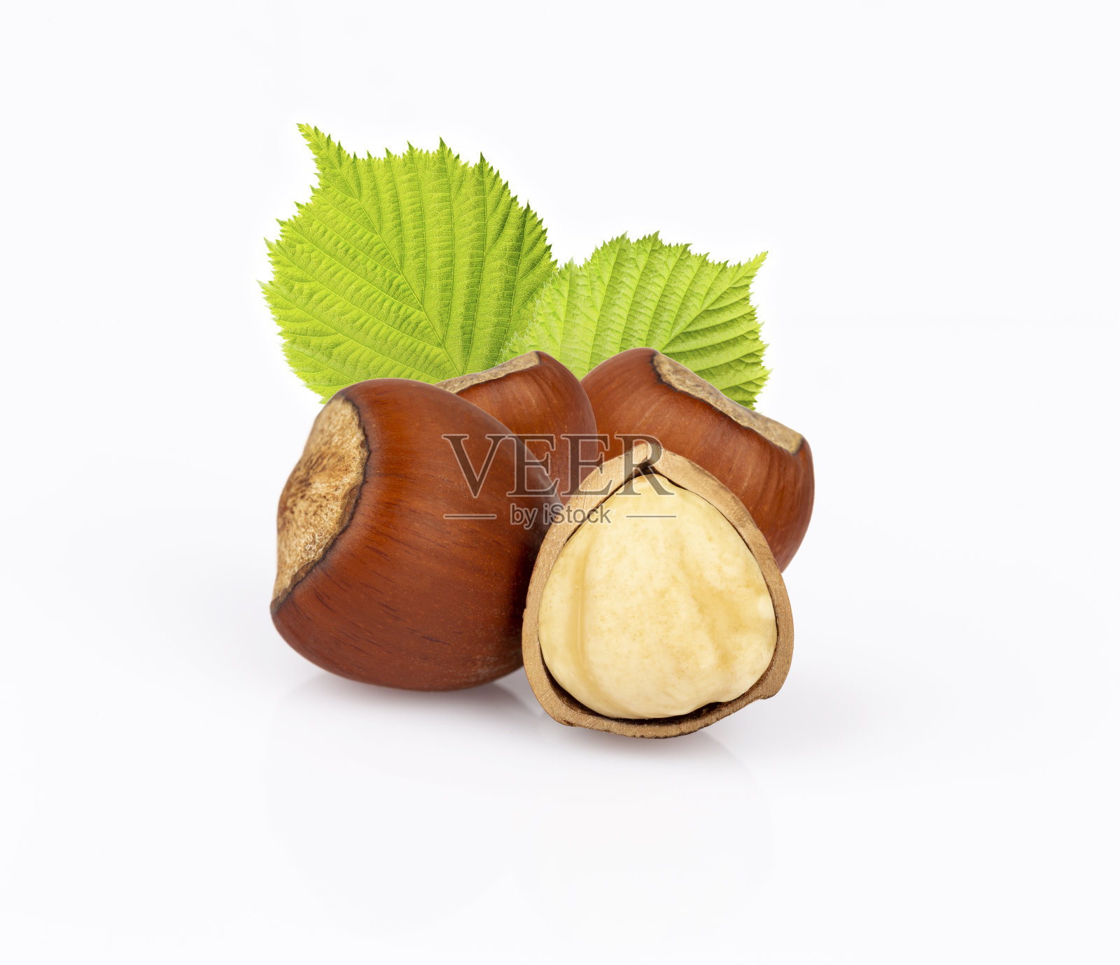 特写榛子孤立在白色背景上照片摄影图片