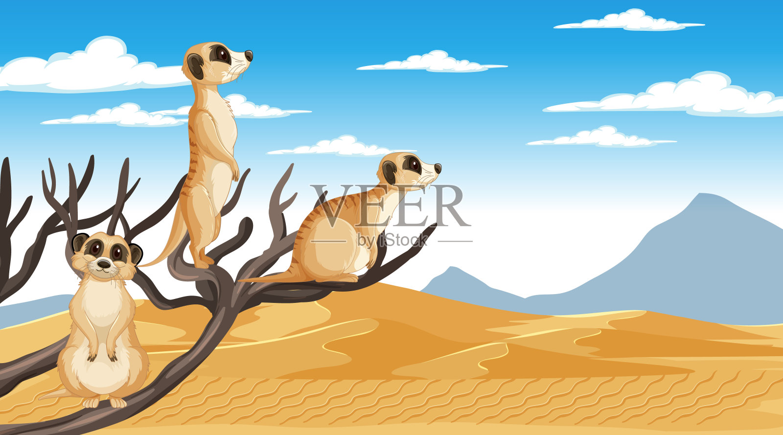 沙漠森林中的猫鼬插画图片素材