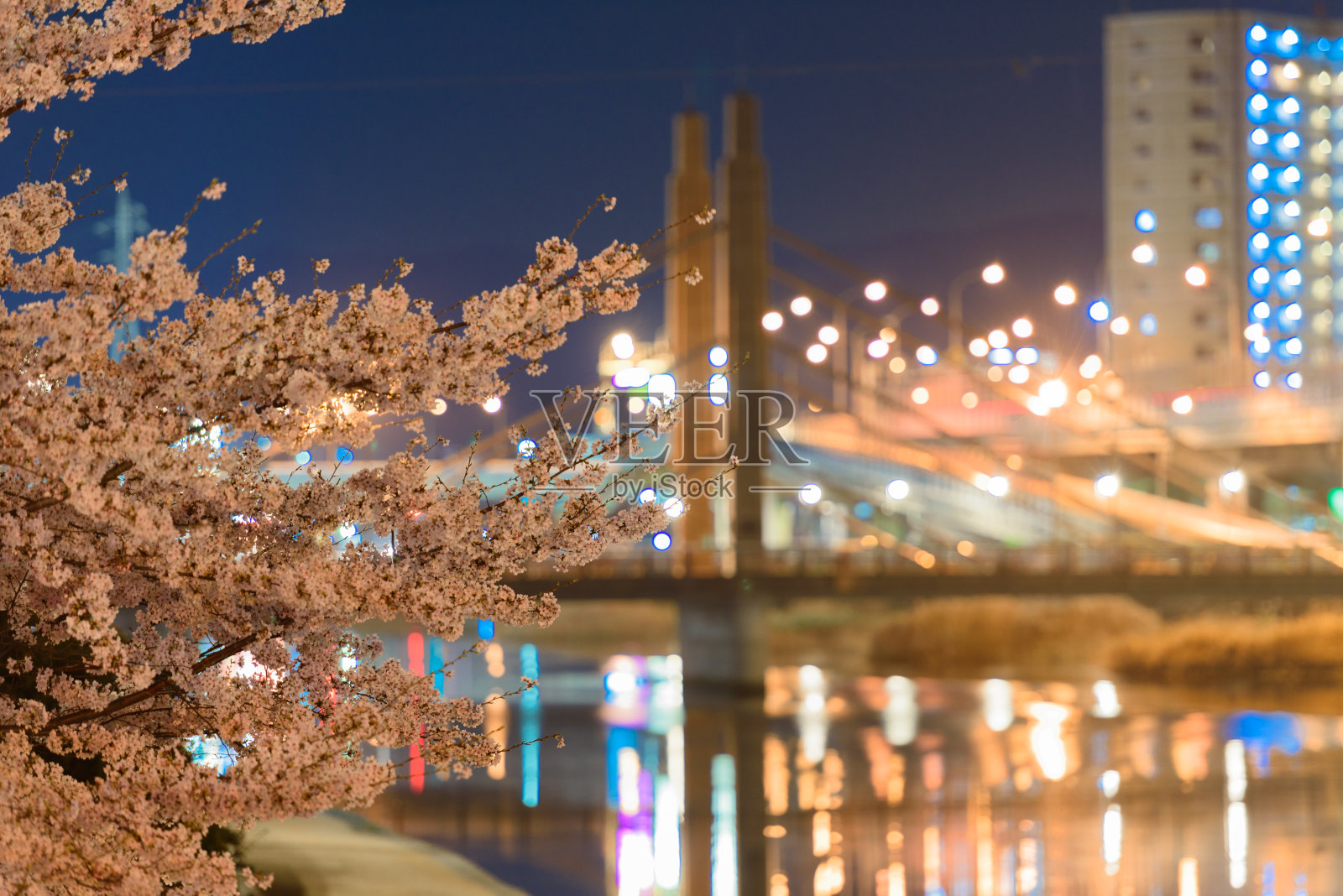 夜晚樱花盛开的城市风光照片摄影图片
