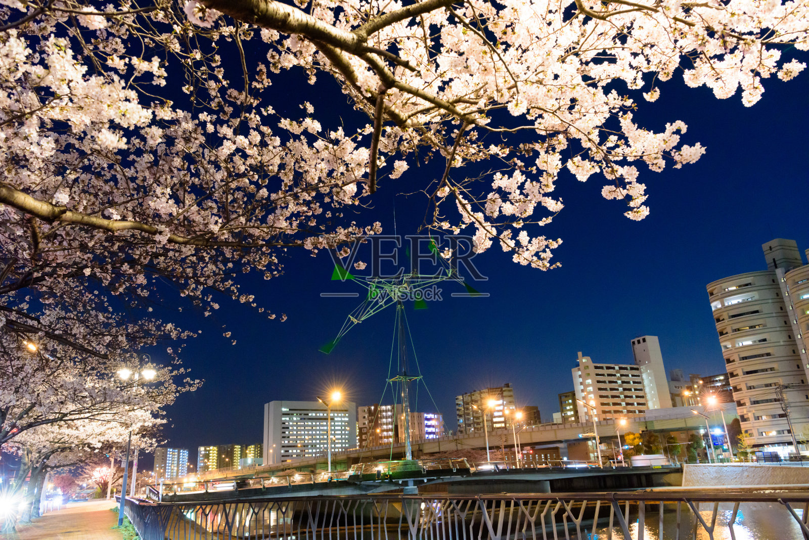 夜晚樱花盛开的城市风光照片摄影图片