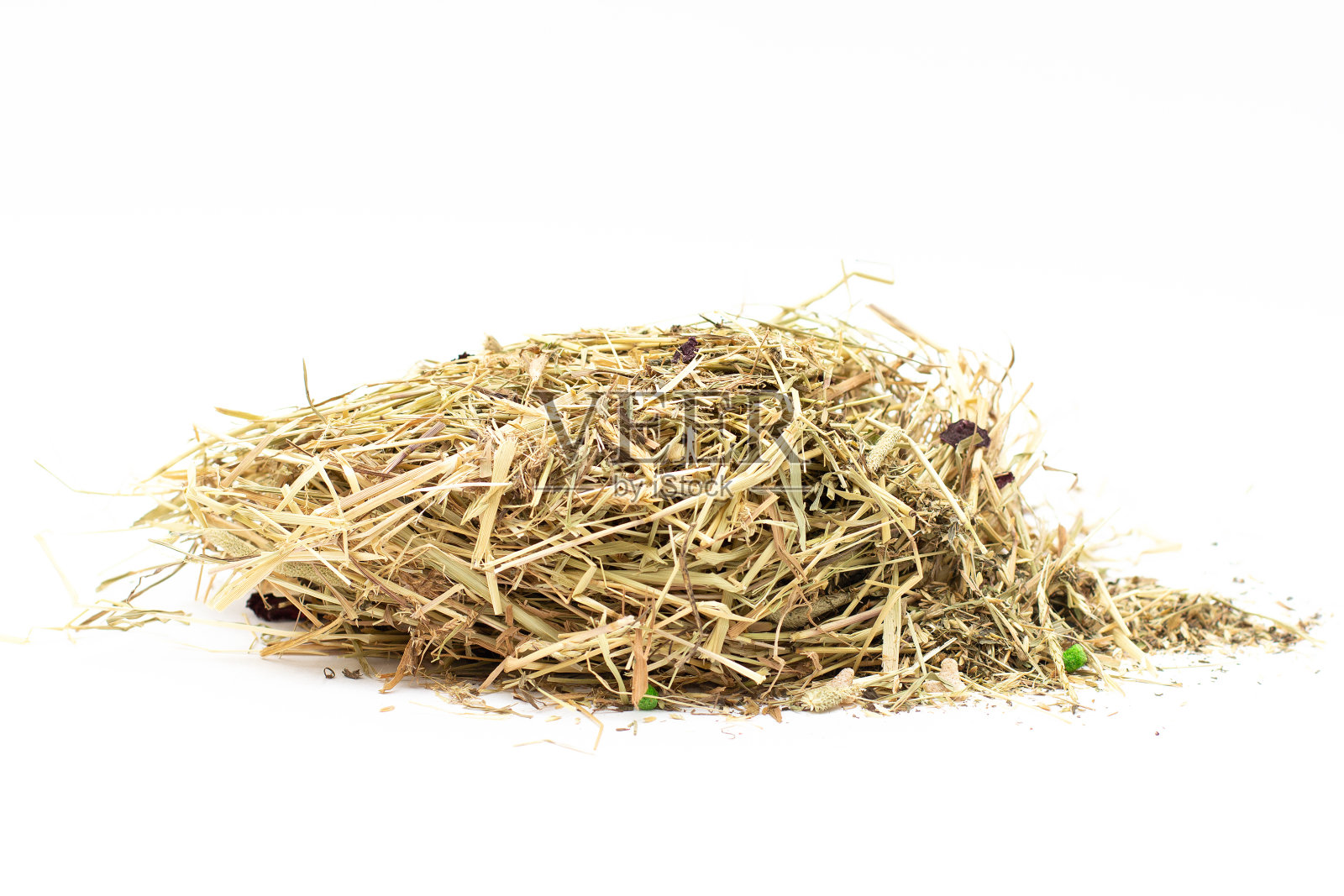 白色的栗鼠干草照片摄影图片